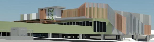 NORTH - EAST PERSPECTIVE